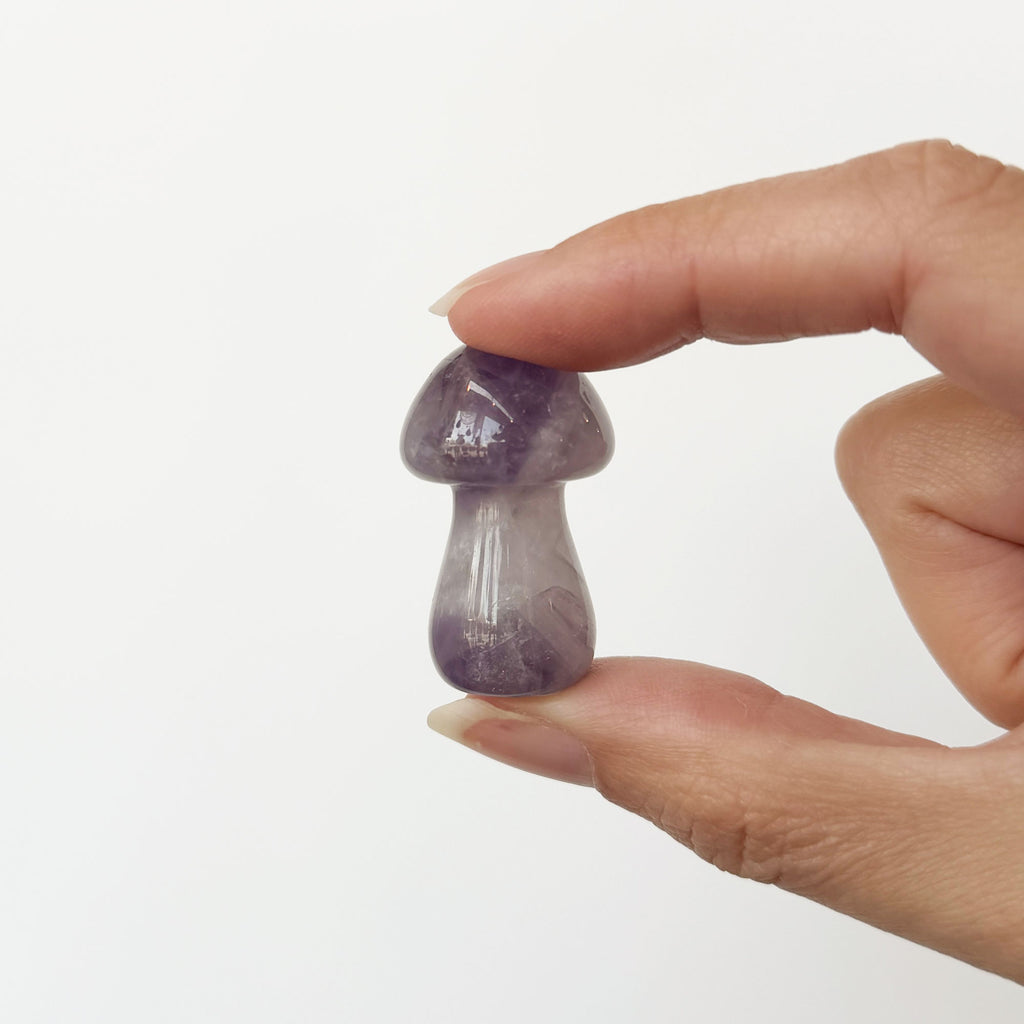 Amethyst Mushroom