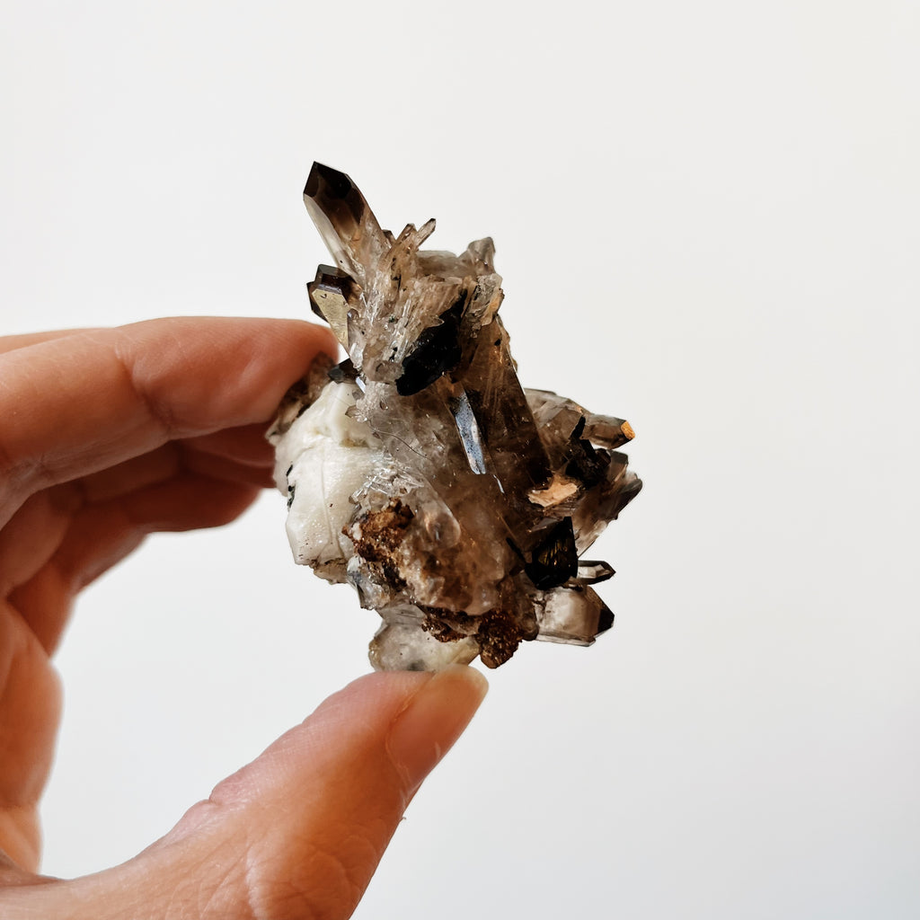 White, gray, and black cluster of Aegirine crystals