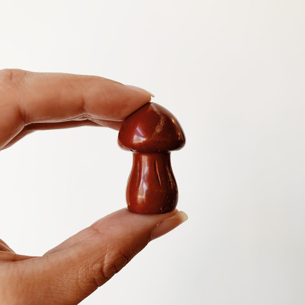 Red Jasper mushroom