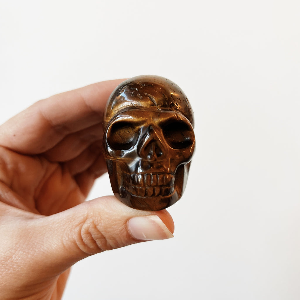 Front of Tiger Eye Skull