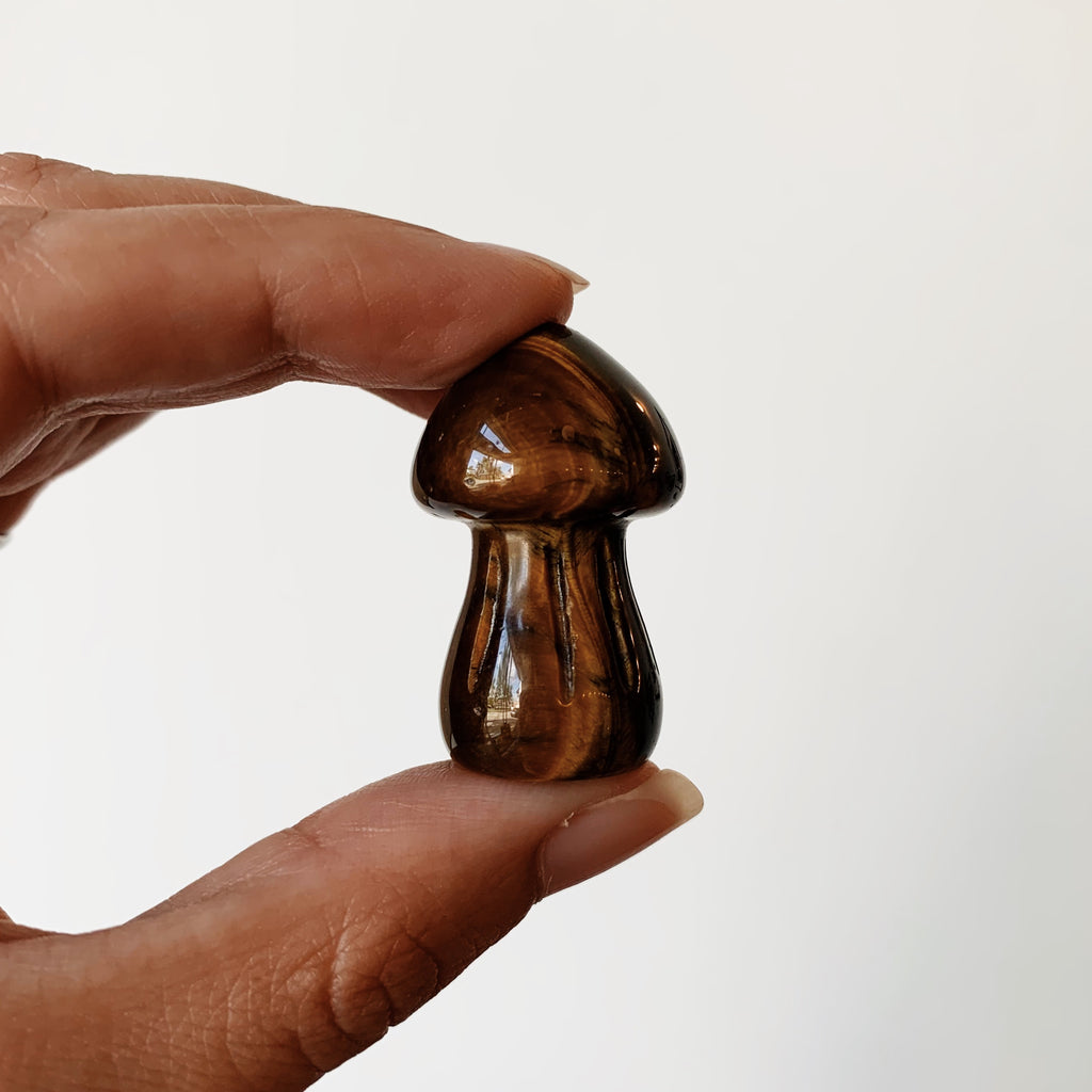 Tiger Eye Mushroom